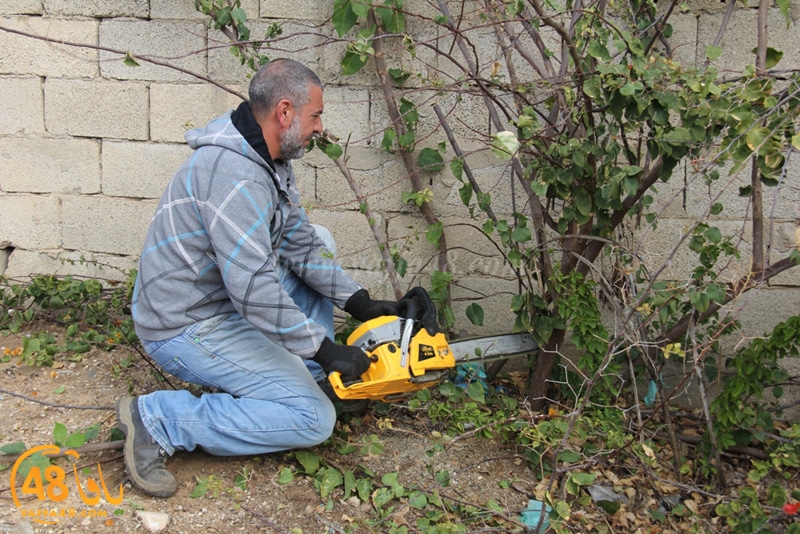 taso mashro3 tandaef (46).JPG